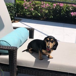 Meet your Posher, Beth